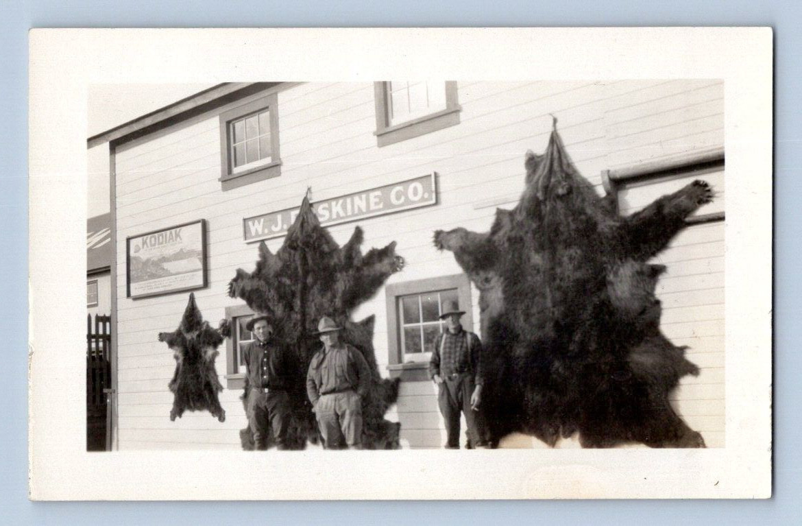 RPPC 1930'S. KODIAK, ALASKA. W.J. ERSKINE CO. LARGE BEAR FURS. POSTCARD L28