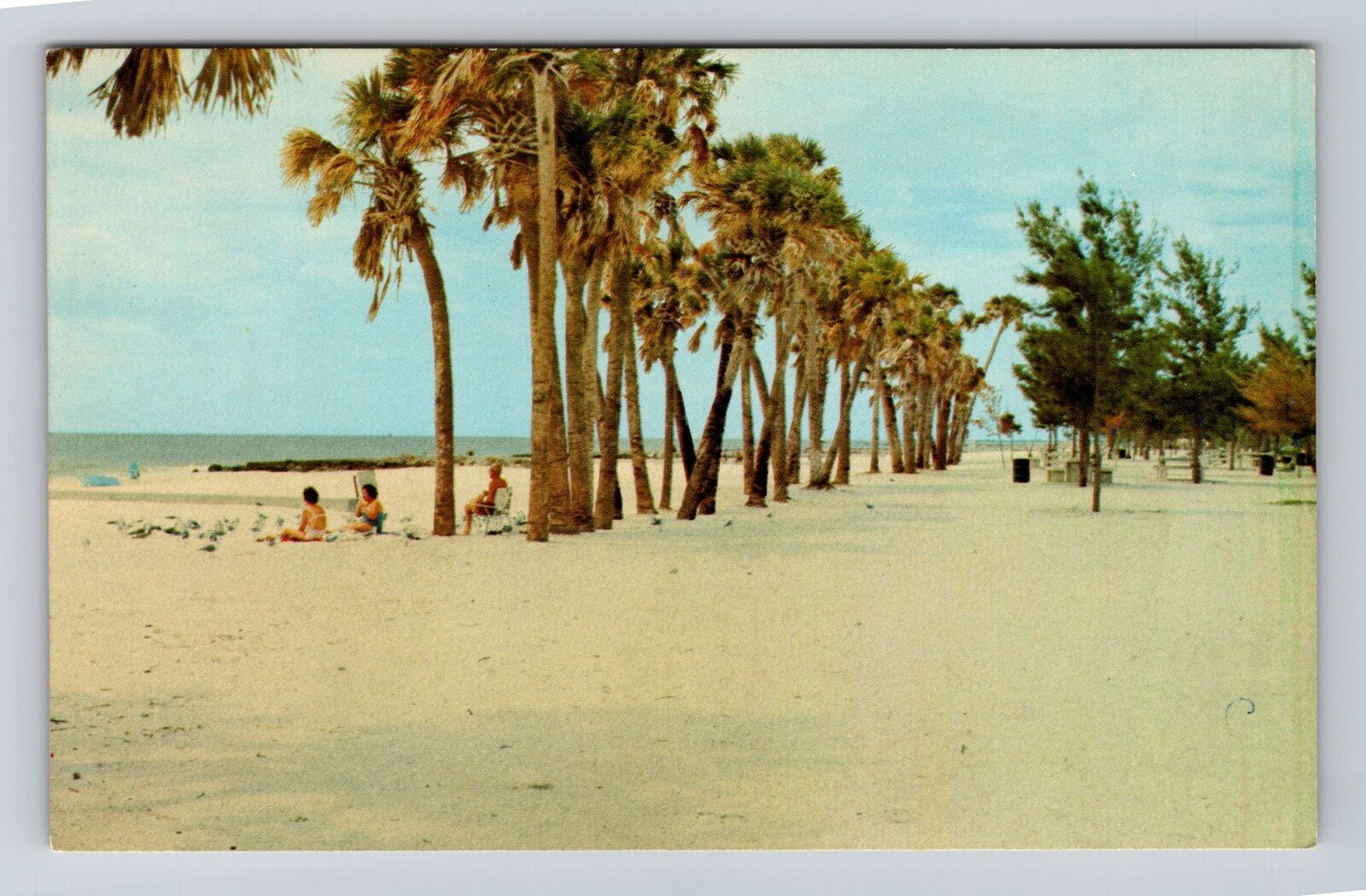 Anna Maria Island FL- Florida, Couquina Beach, Antique, Vintage Postcard