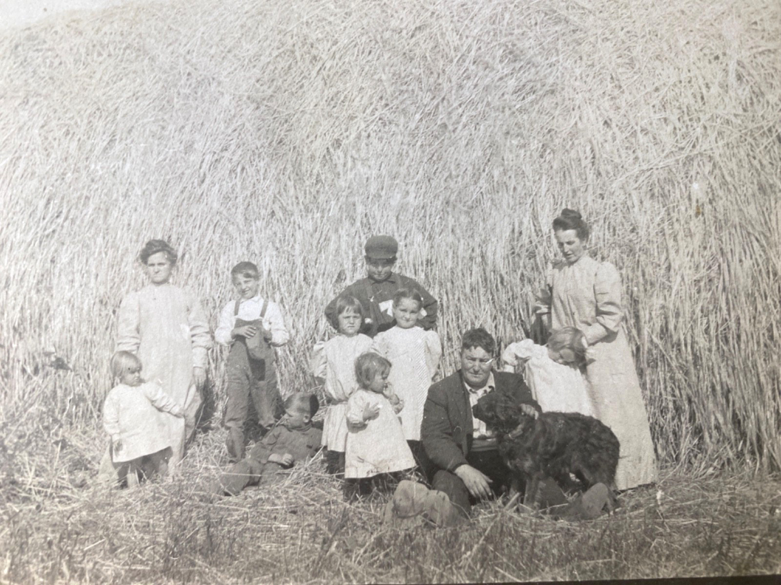 1910s RPPC - WILLAMETTE VALLEY, OREGON real photo postcard WHEAT FARMERS FAMILY