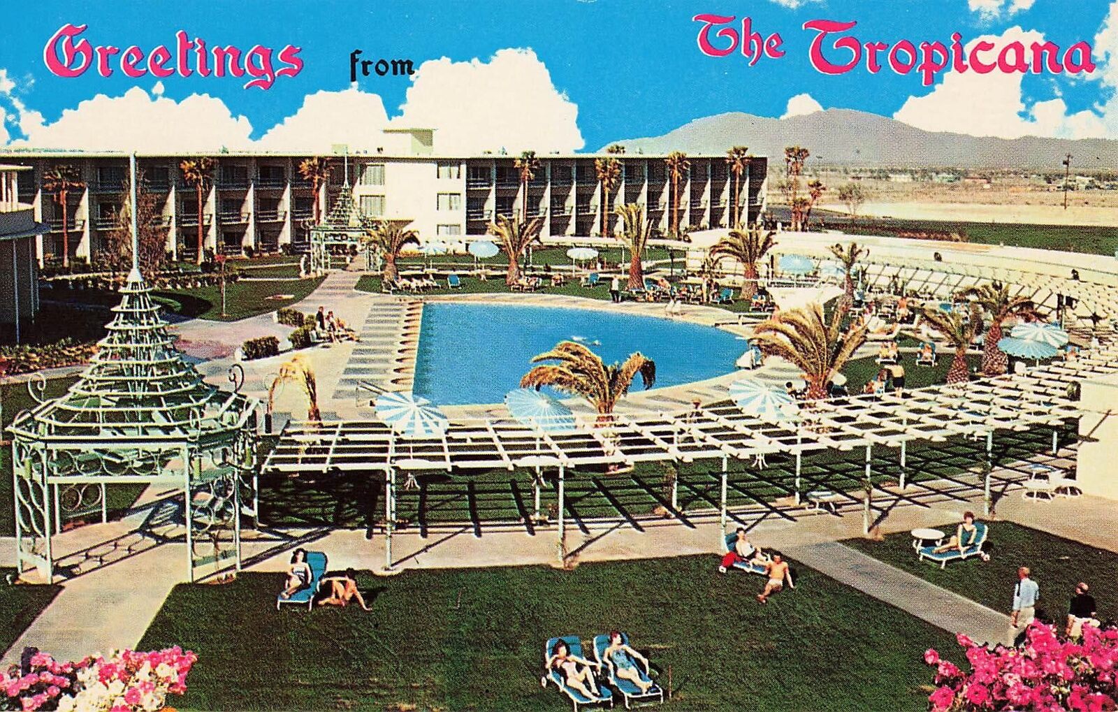 Vintage 1960s Postcard TROPICANA Swimming Pool Day Casino Hotel RARE 