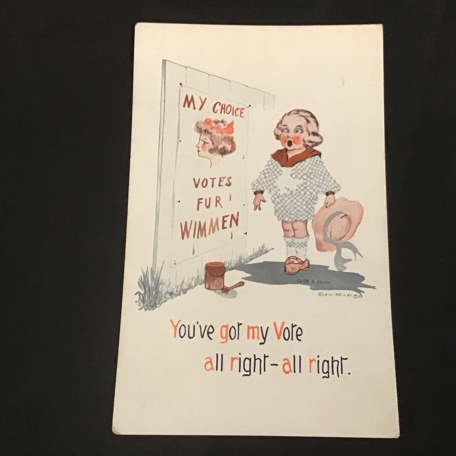 1912 Woman's Suffrage Votes For Wimmen You Got My Vote Postcard 1912 Woman's Suffrage Votes For Wimmen You Got My Vote Postcard