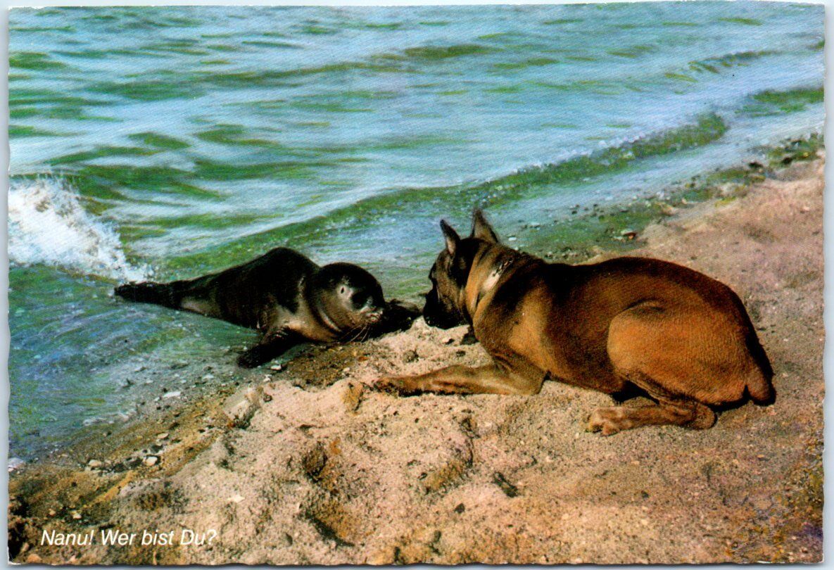 Postcard - Seal and a Dog at the Beach