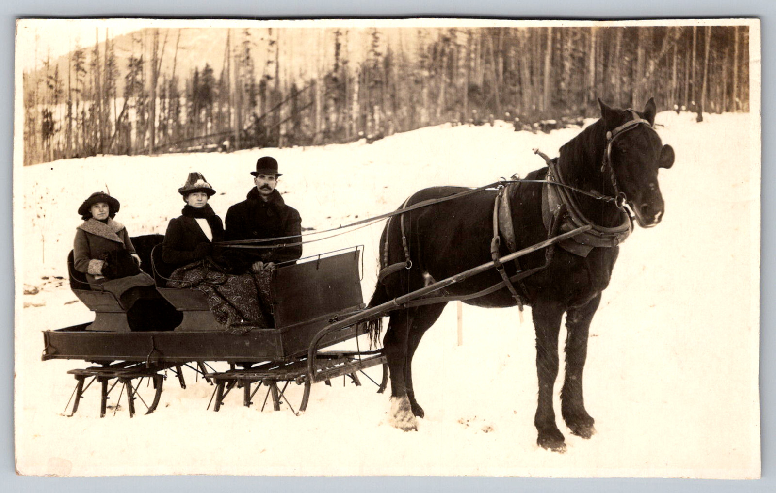 RPPC c1910s Two Row Passenger Sleigh Single Horse Winter Snow Scene Postcard RPPC c1910s Two Row Passenger Sleigh Single Horse Winter Snow Scene Postcard