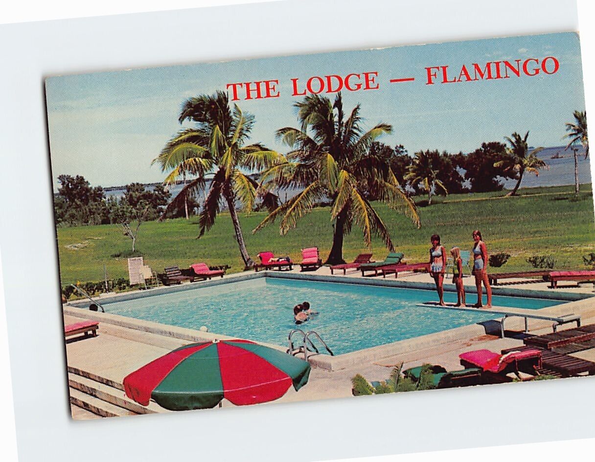 Postcard Fresh Water Swimming Pool The Lodge Flamingo Florida USA