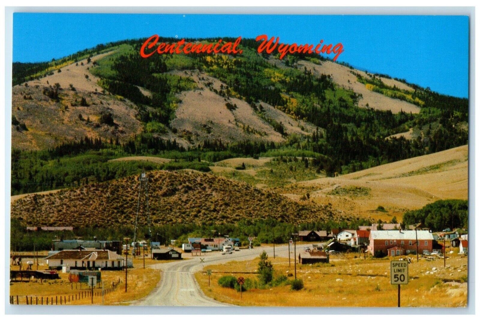 c1950's Street View Houses Mountain Scene Centennial Wyoming WY Vintage Postcard