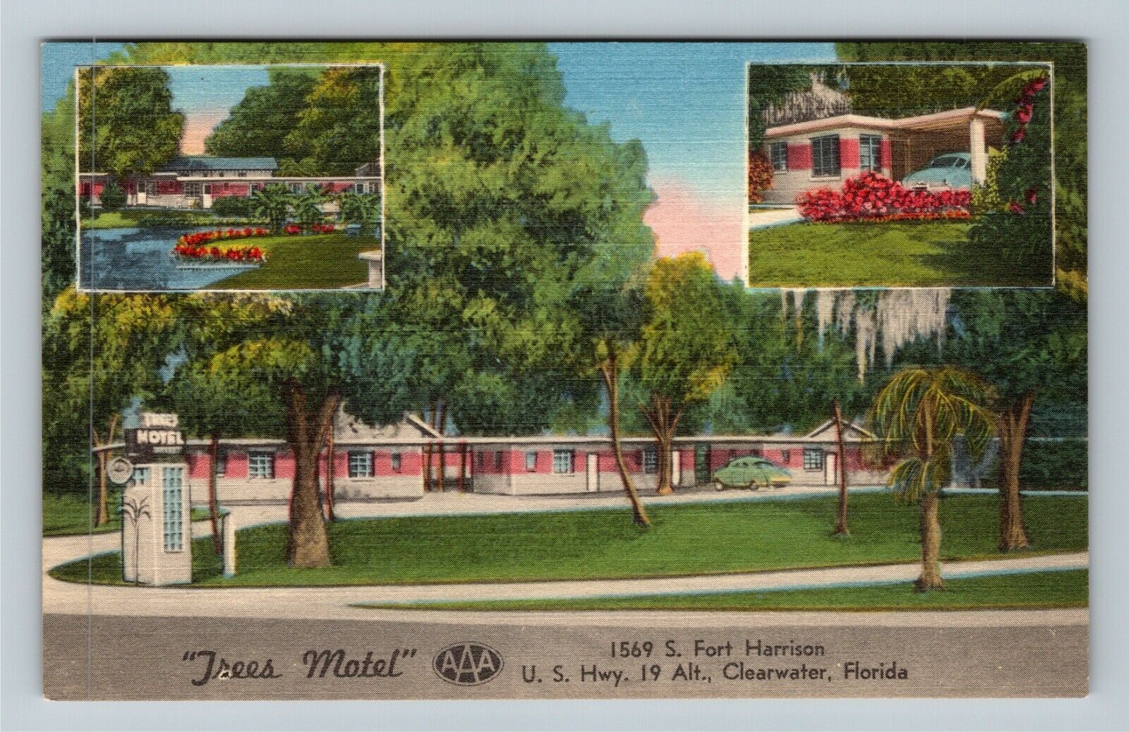 Clearwater, FL-Florida, Trees Motel, Advertising, Vintage Postcard