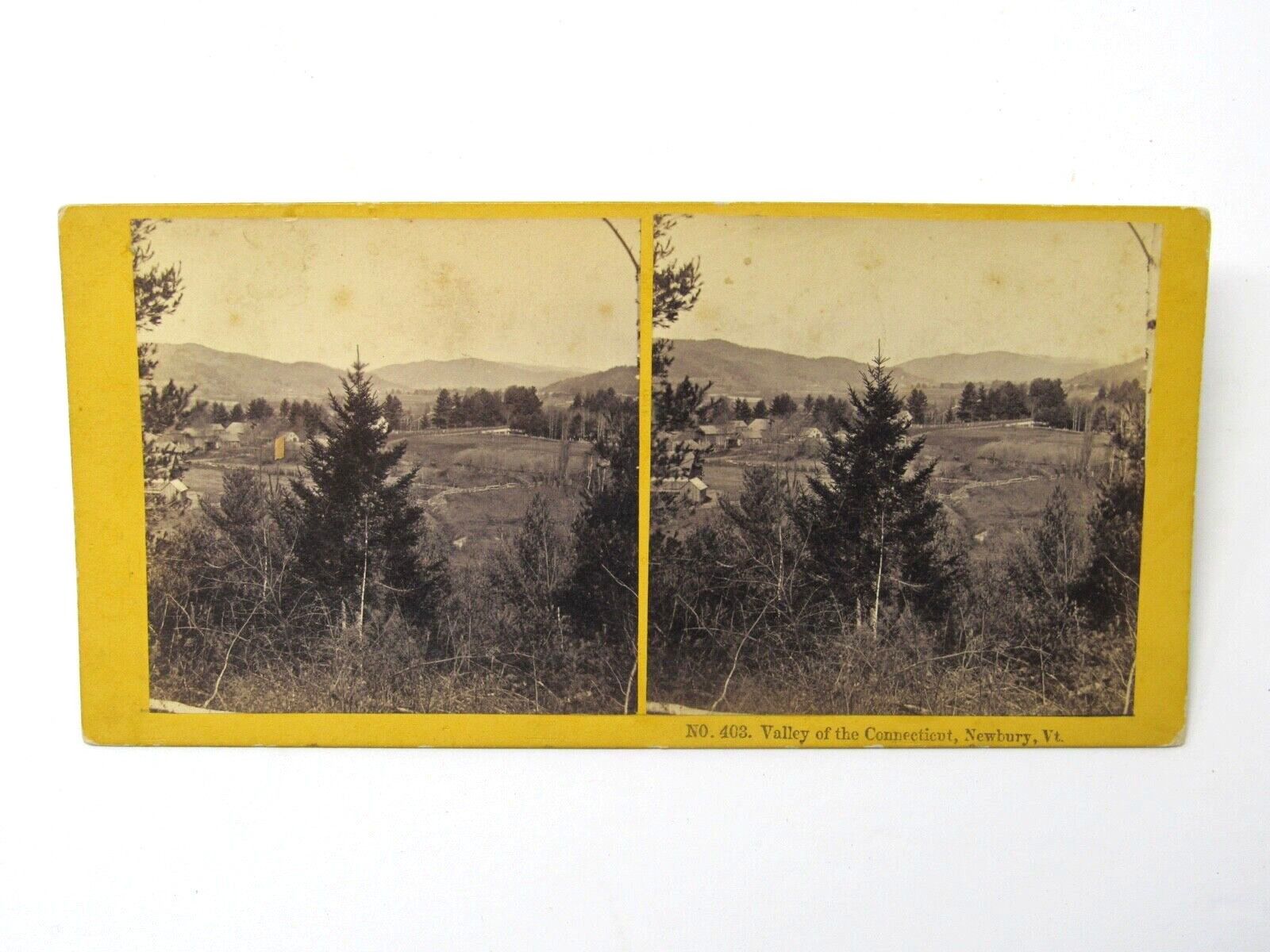 Newbury Vermont Valley of Connecticut Town View Stereoview c1890 Albumen Print