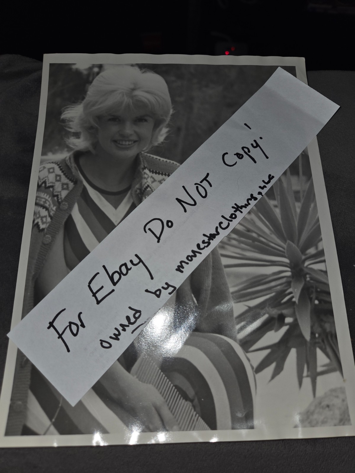 Rare Photo Jayne Mansfield At Home 1962 original gelatin print 7 x 9 Newspaper