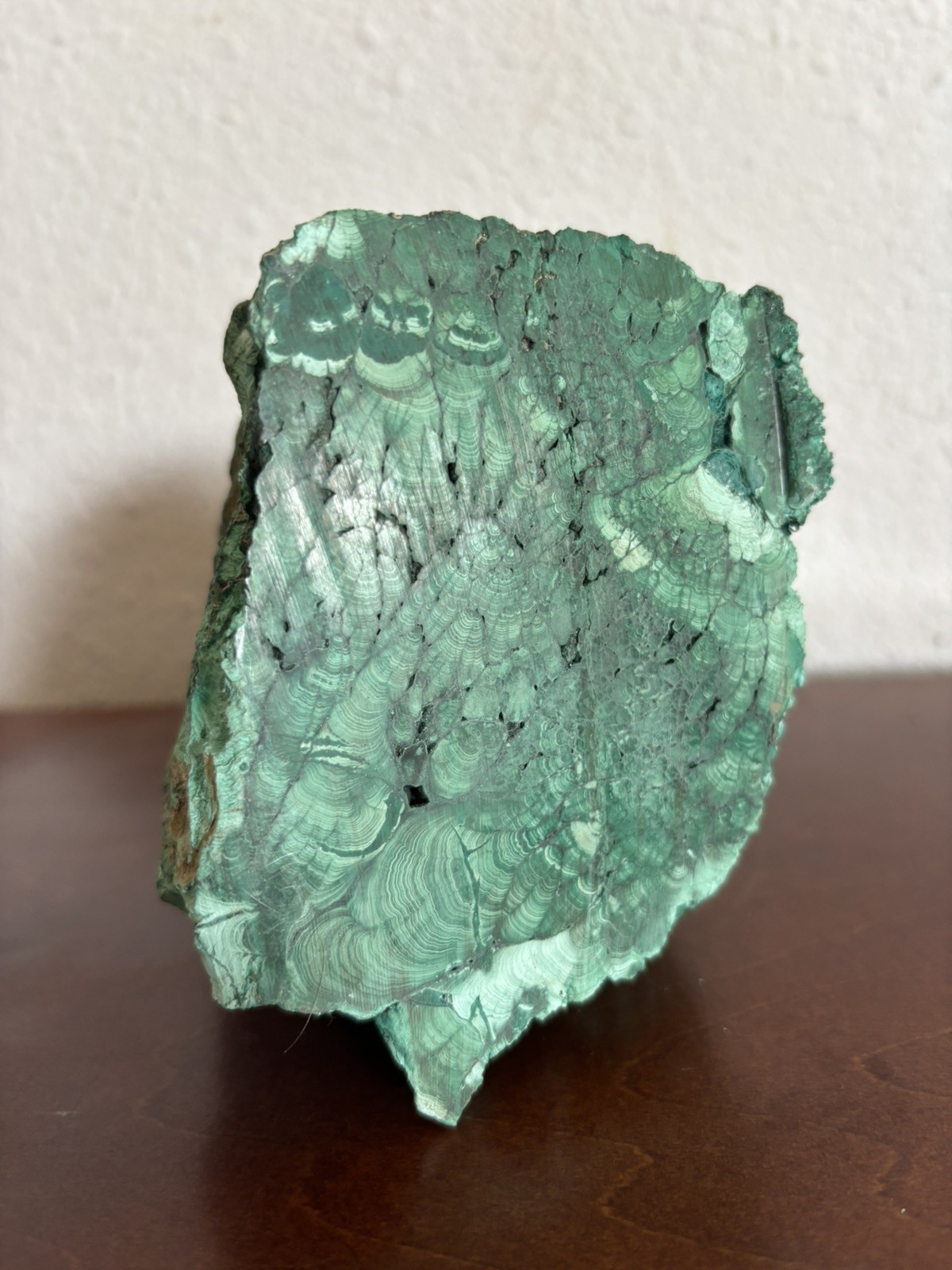 5 LB Large Natural Malachite cluster rough mineral sample with smooth cut bottom 5 LB Large Natural Malachite cluster rough mineral sample with smooth cut bottom