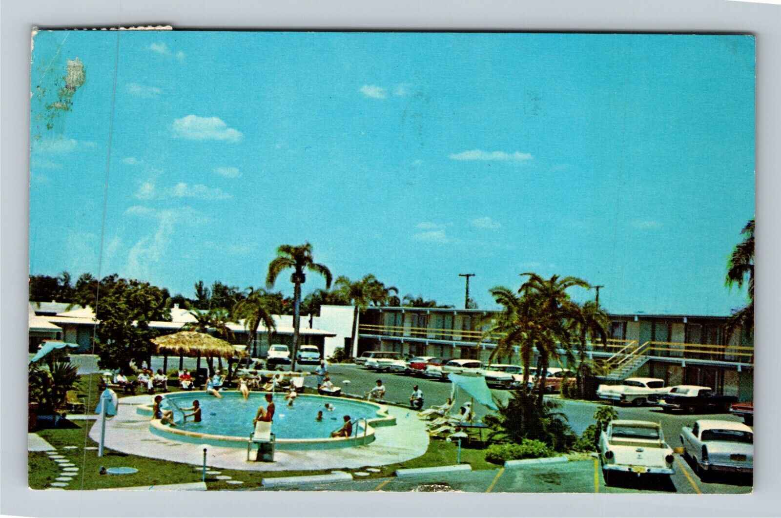 Sarasota FL-Florida, Cabana Inn, Classic Cars, Antique Vintage c1966 Postcard