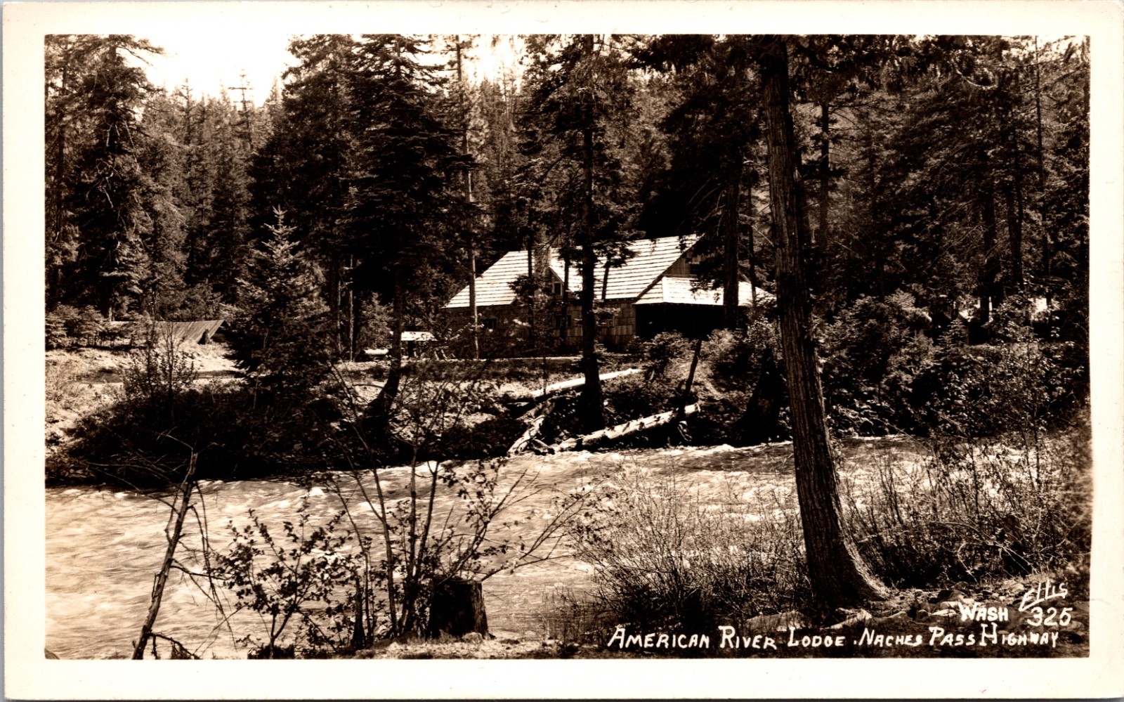 RPPC American River Lodge Naches Pass Highway Washington Forest Scene