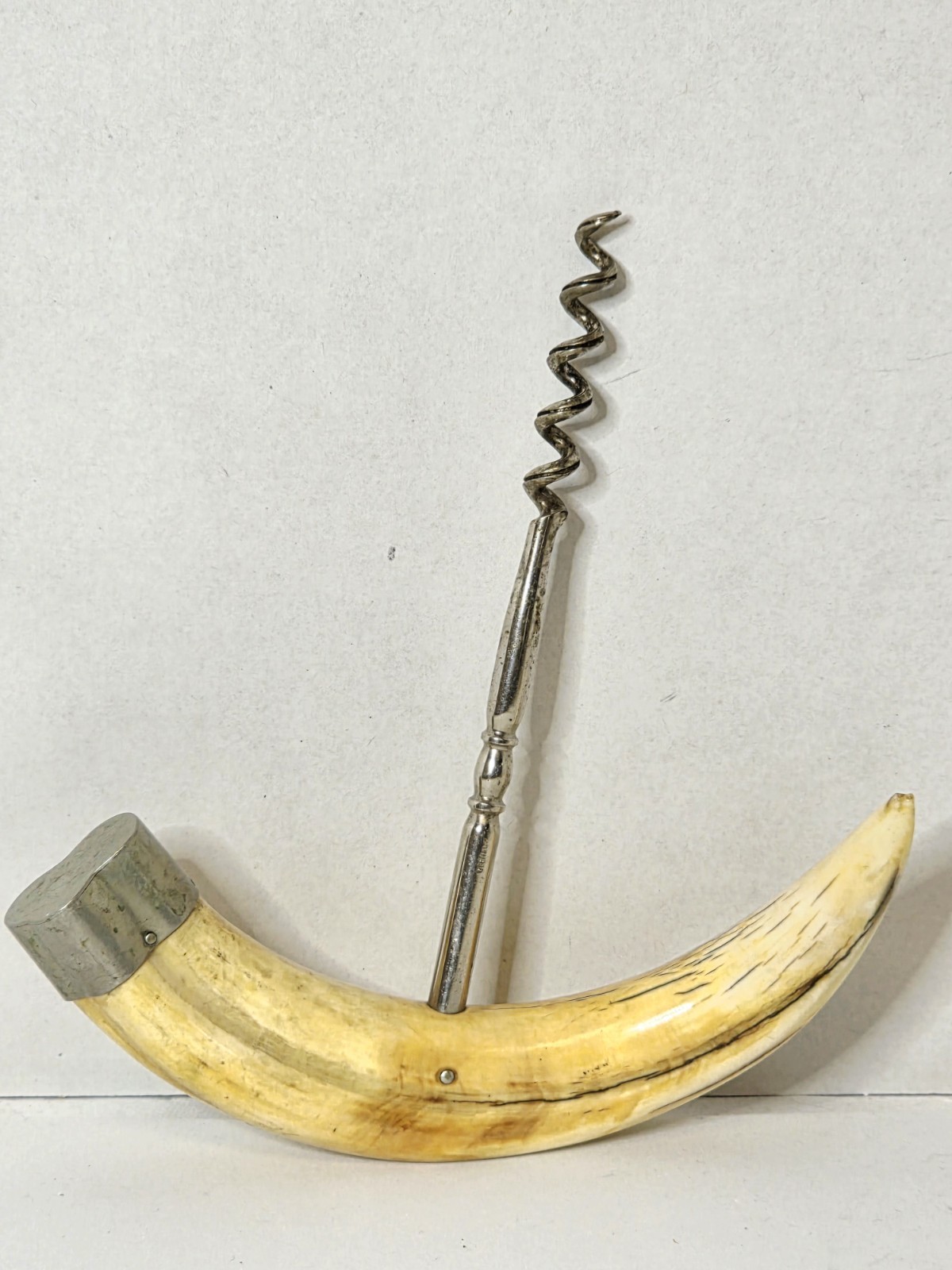 Antique German 19th Century Boars Tusk & Sterling Endcap Corkscrew Antique German 19th Century Boars Tusk & Sterling Endcap Corkscrew