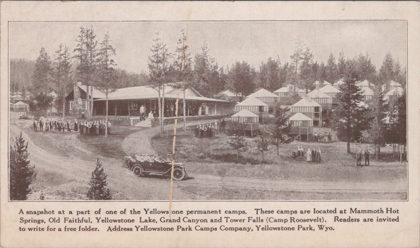 Camp Roosevelt Yellowstone Park Wyoming WY Camps Co Tents Auto 1910s Postcard