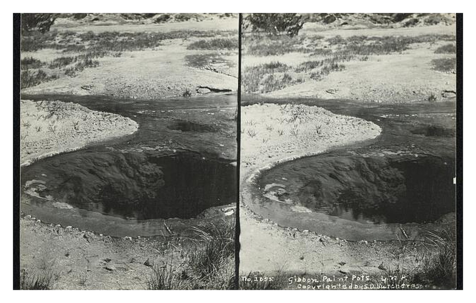 Yellowstone Gibbon Paint Pots Standard Postcard