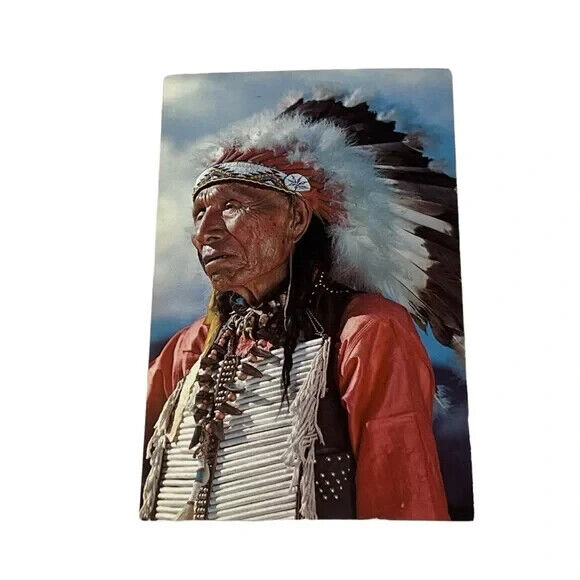 Postcard Indian Chief in Headdress Native Americans A347