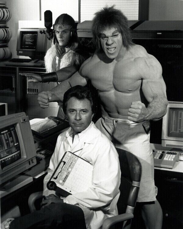 The Incredible Hulk Returns 1988 Bill Bixby Lou Ferrigno & Thor 11x17 poster