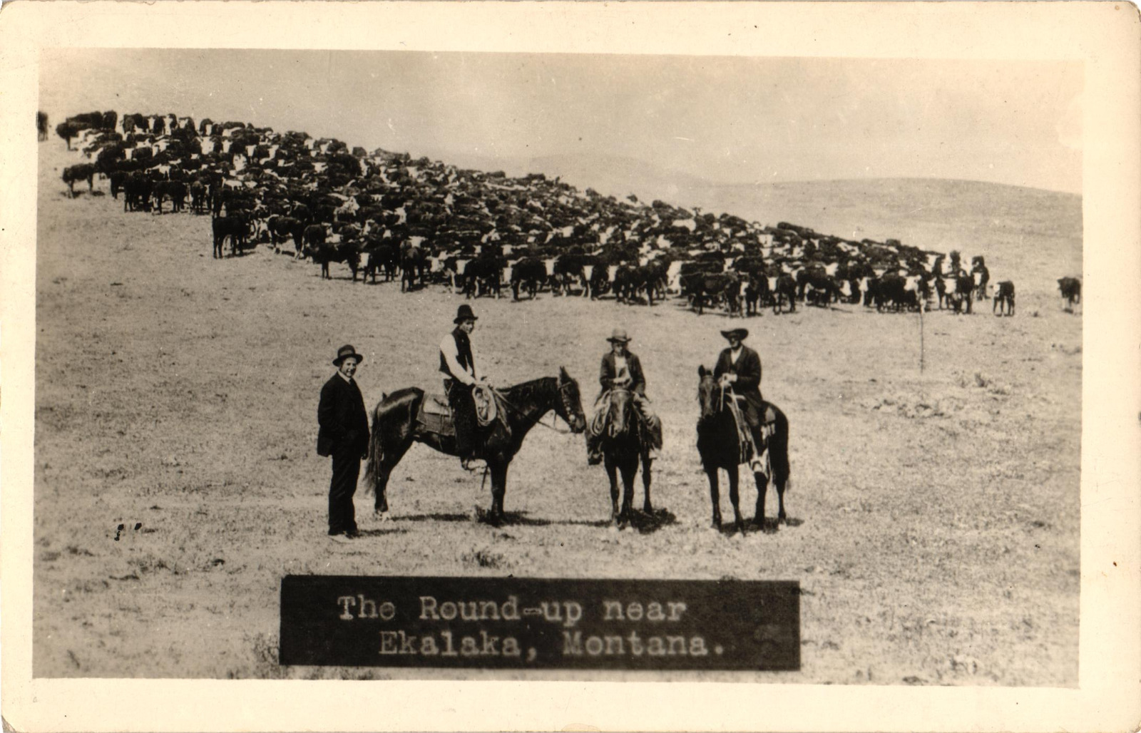 The Roundup Near Ekalaka, Montana RPPC Postcard Cattle Ranchers
