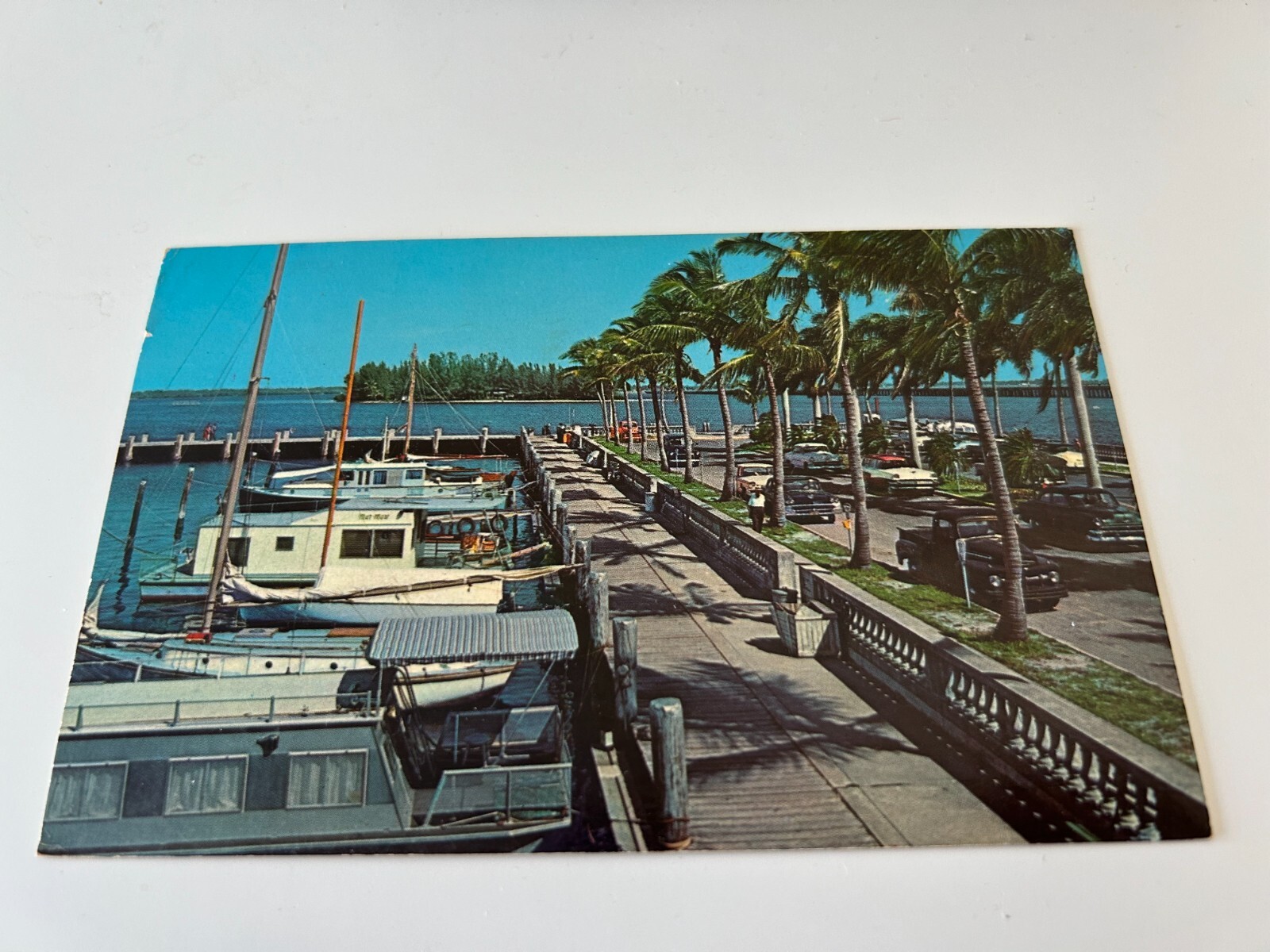 Yacht Harbor and Tropical Island in Caloosahatchee River Ft Myers Florida