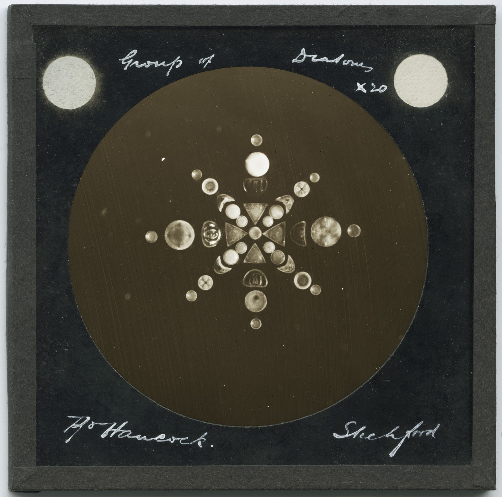 Antique Magic Lantern Slide by Hancock - Microscope Slide Photo Group of Diatoms Antique Magic Lantern Slide by Hancock - Microscope Slide Photo Group of Diatoms