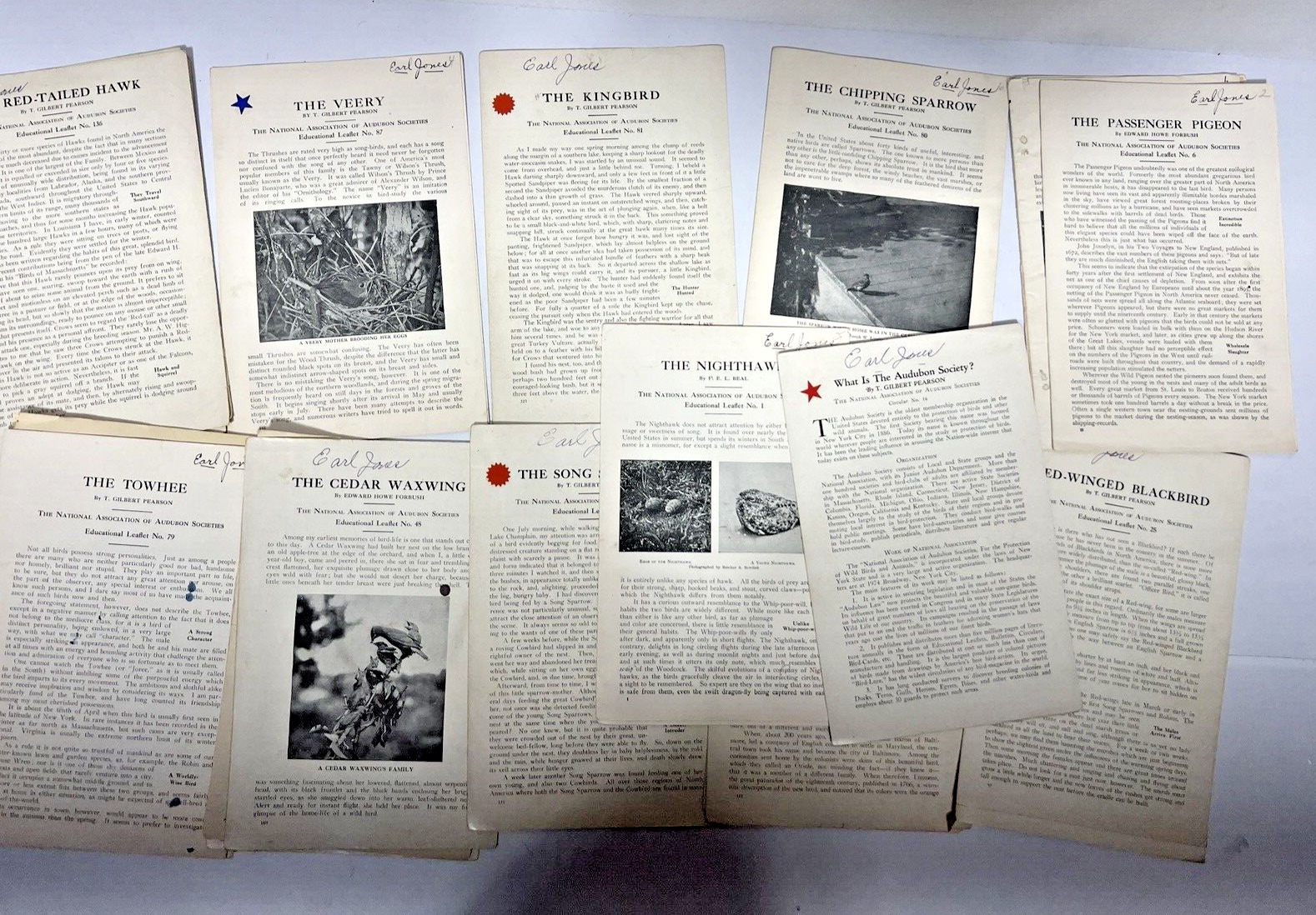 Antique 1920's & 30's  12 Audubon Educational Leaflets,  Birds with art Prints