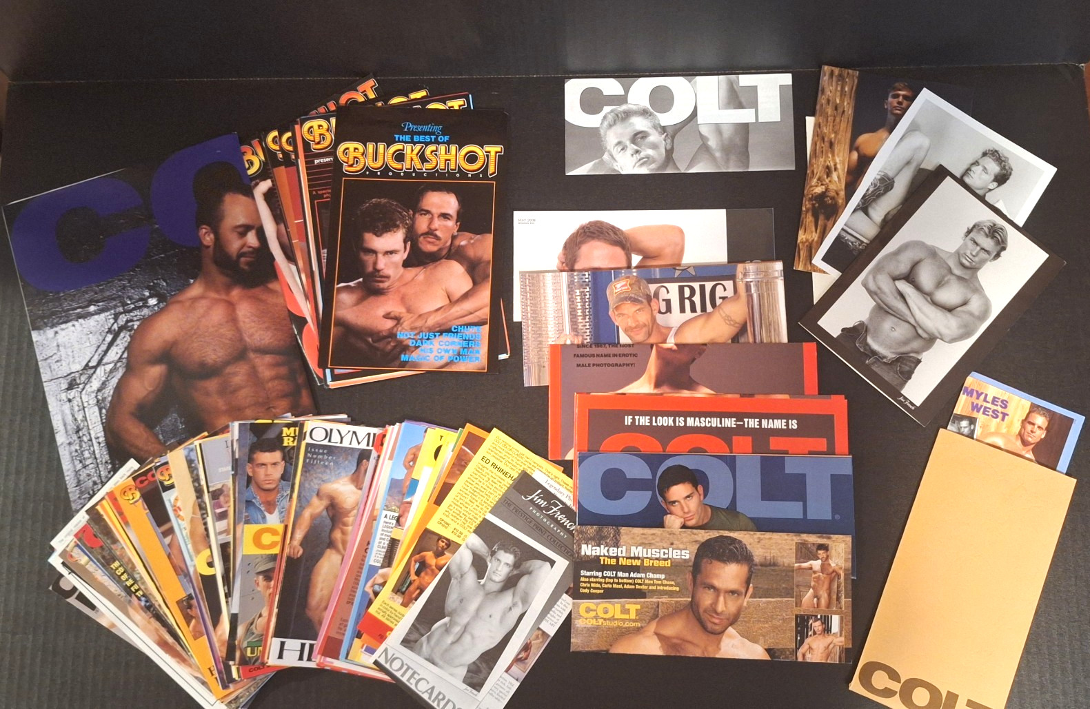 COLT STUDIOS FOLIO MATERIALS-POSTER, CARDS, MODEL AND MOVIE ADVERTISING SHEETS COLT STUDIOS FOLIO MATERIALS-POSTER, CARDS, MODEL AND MOVIE ADVERTISING SHEETS