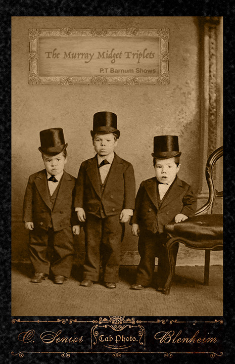 THE MURRAY MIDGET TRIPLETS - P.T. Barnum Shows Vintage Photograph Cabinet Card THE MURRAY MIDGET TRIPLETS - P.T. Barnum Shows Vintage Photograph Cabinet Card