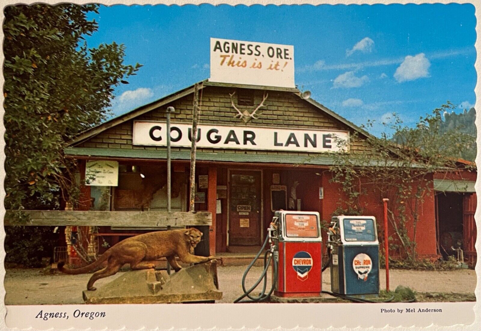 Agness Oregon Rogue River Gas Station Siskiyou Nat Forest 6x4 Postcard c1970
