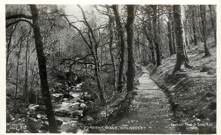 Dolgelley Wales Torrent Walk OLD PHOTO Dolgelley Wales Torrent Walk OLD PHOTO