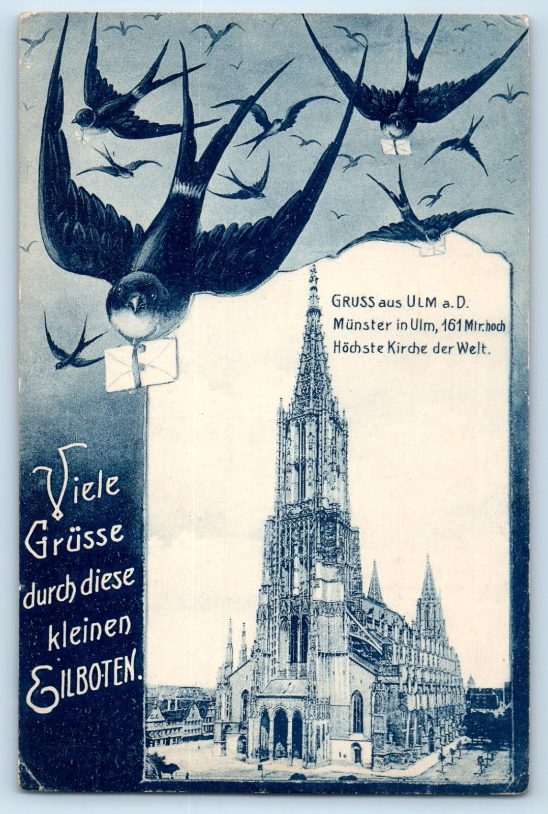 Germany Postcard Greetings from Ulm a.D Munster in Ulm Tallest Church 1907