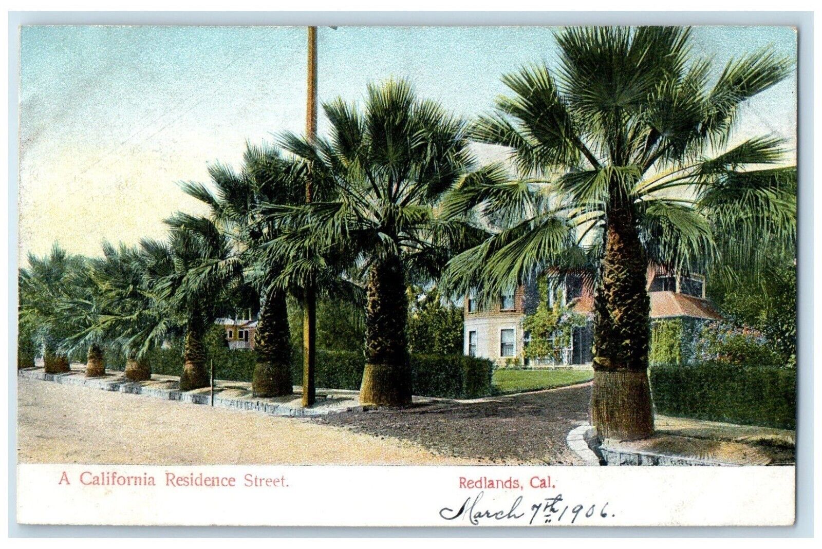 c1910's A California Residence Street Palm Trees Redlands CA Antique Postcard