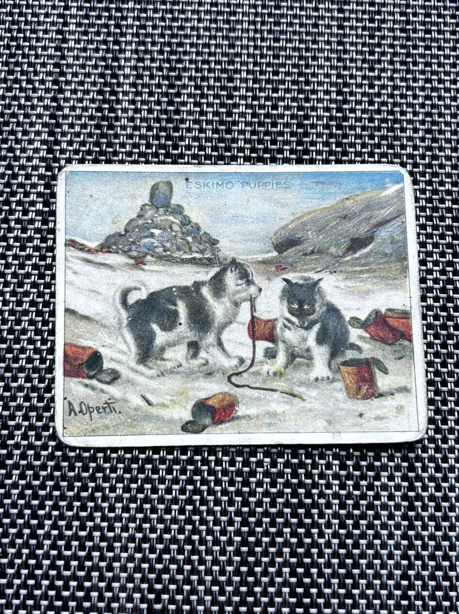 1910 Hassan Arctic Scenes Tobacco T30 Eskimo Puppies