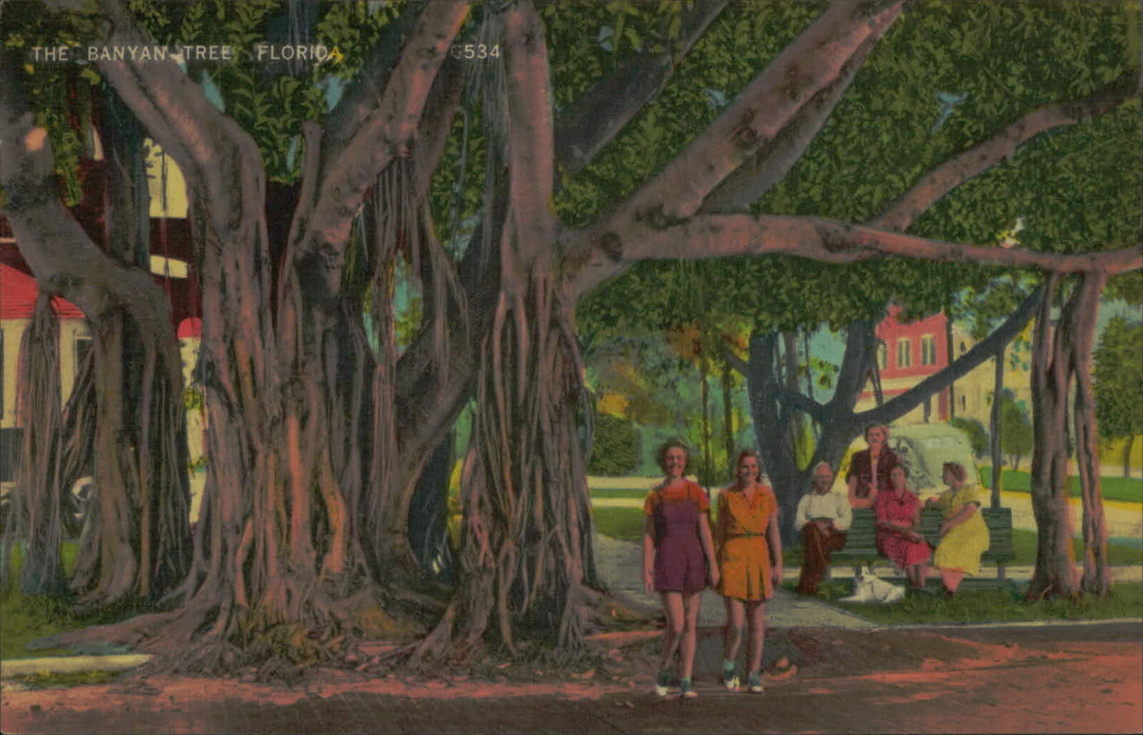 Postcard: THE BANYAN TREE FLORIDA 6534