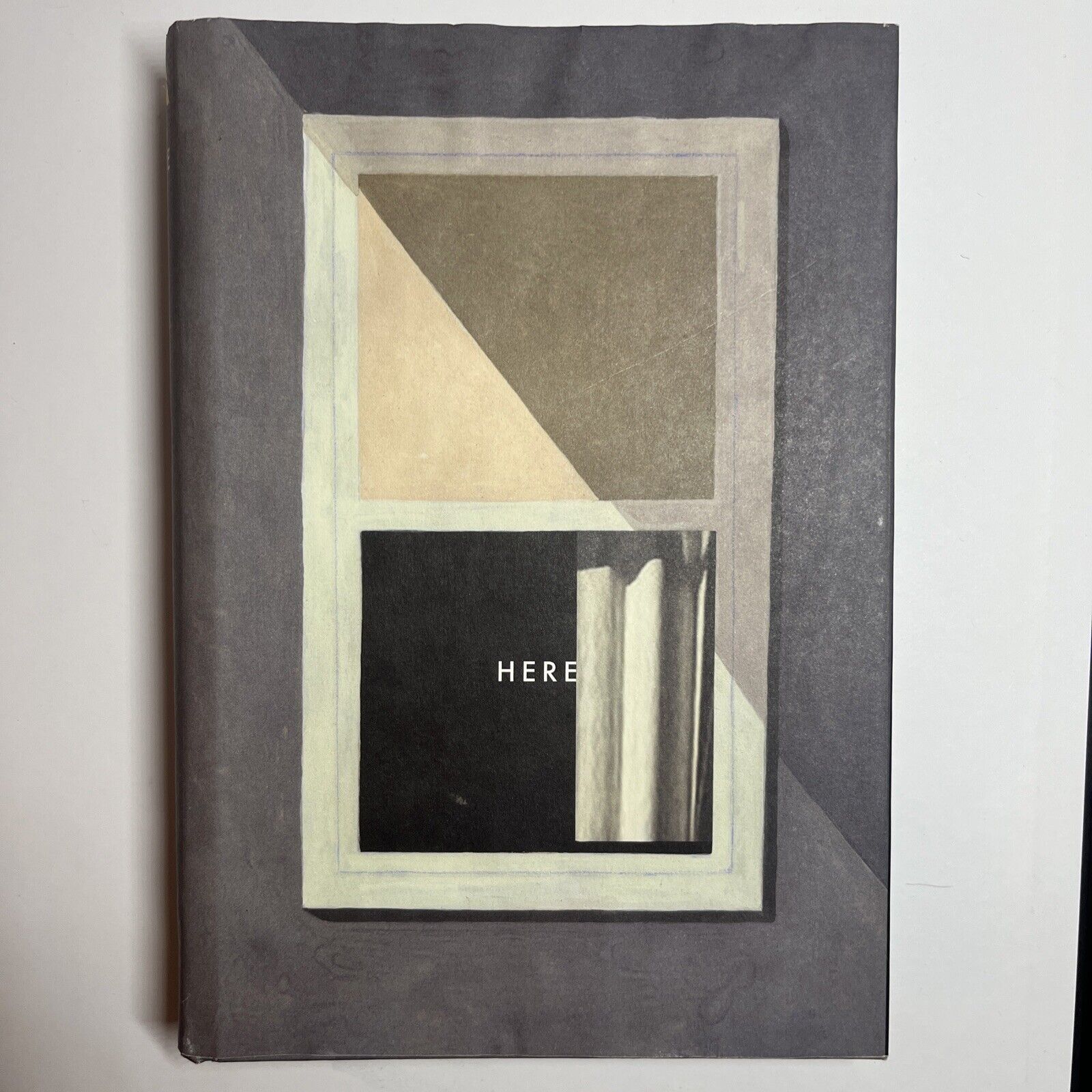 Here by Richard McGuire, graphic novel (Pantheon, December 2014) GOOD