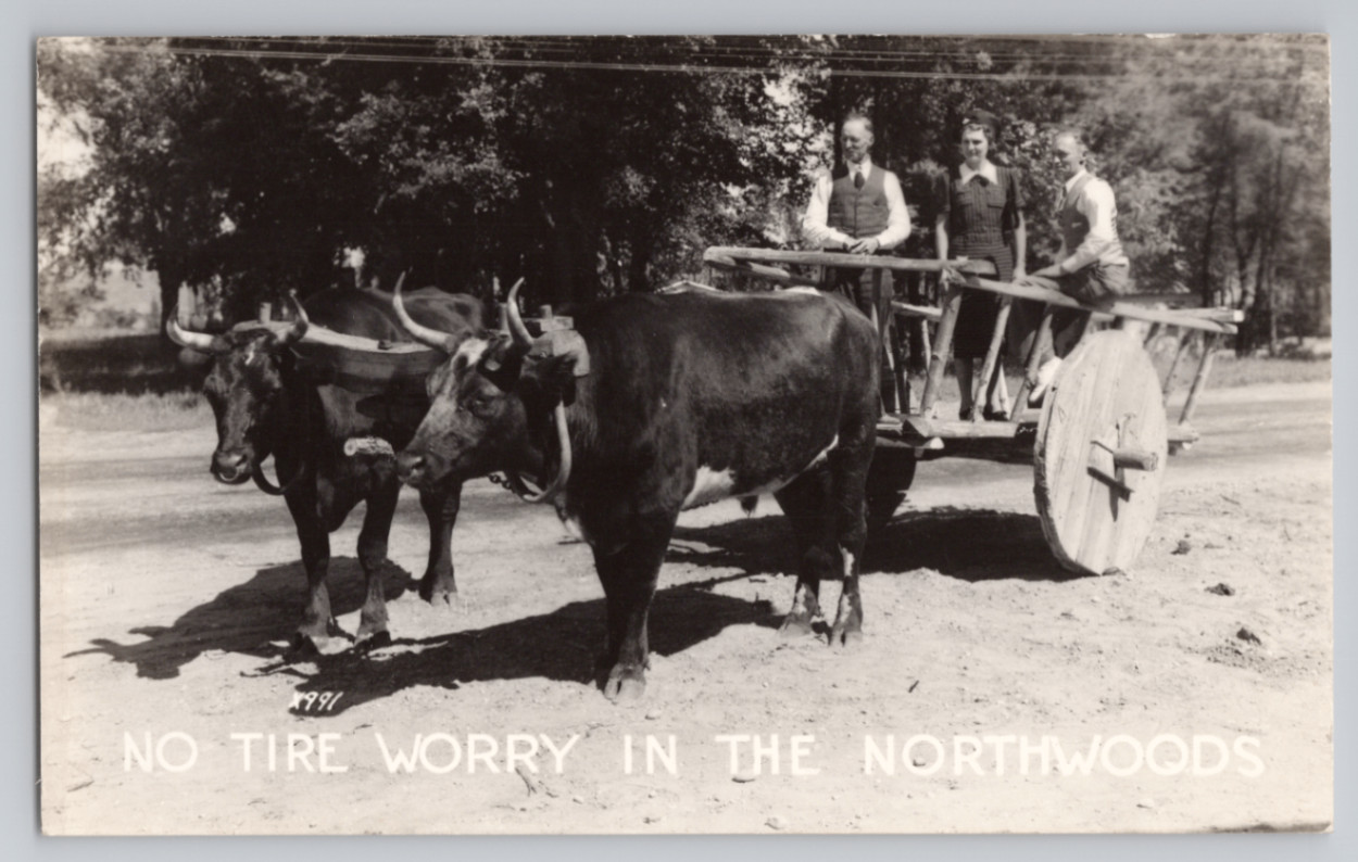 Northwoods Ox Cart No Tire Worry Vintage RPPC Postcard