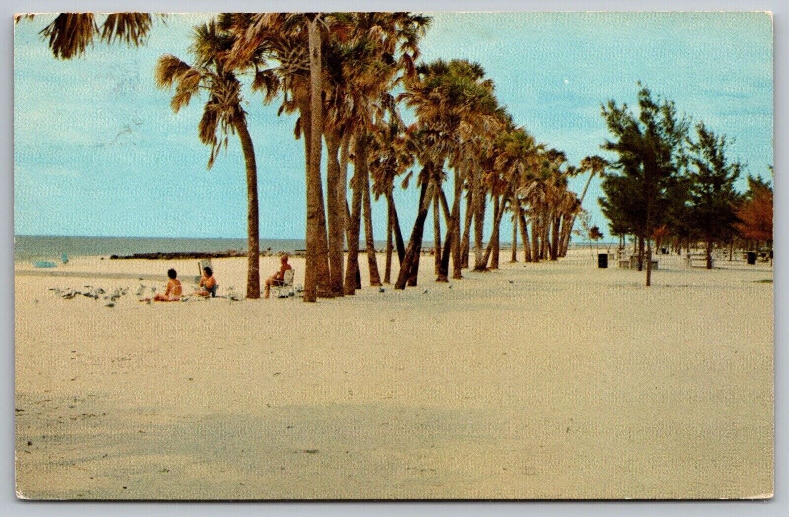 Florida Homes Beach Couquina Tropical Palm Shoreline Oceanfront Coast Postcard