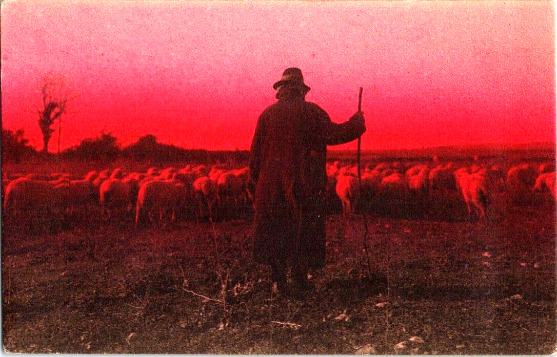 Roman Countryside sheep herder at dusk rppc red sky vintage postcard a67