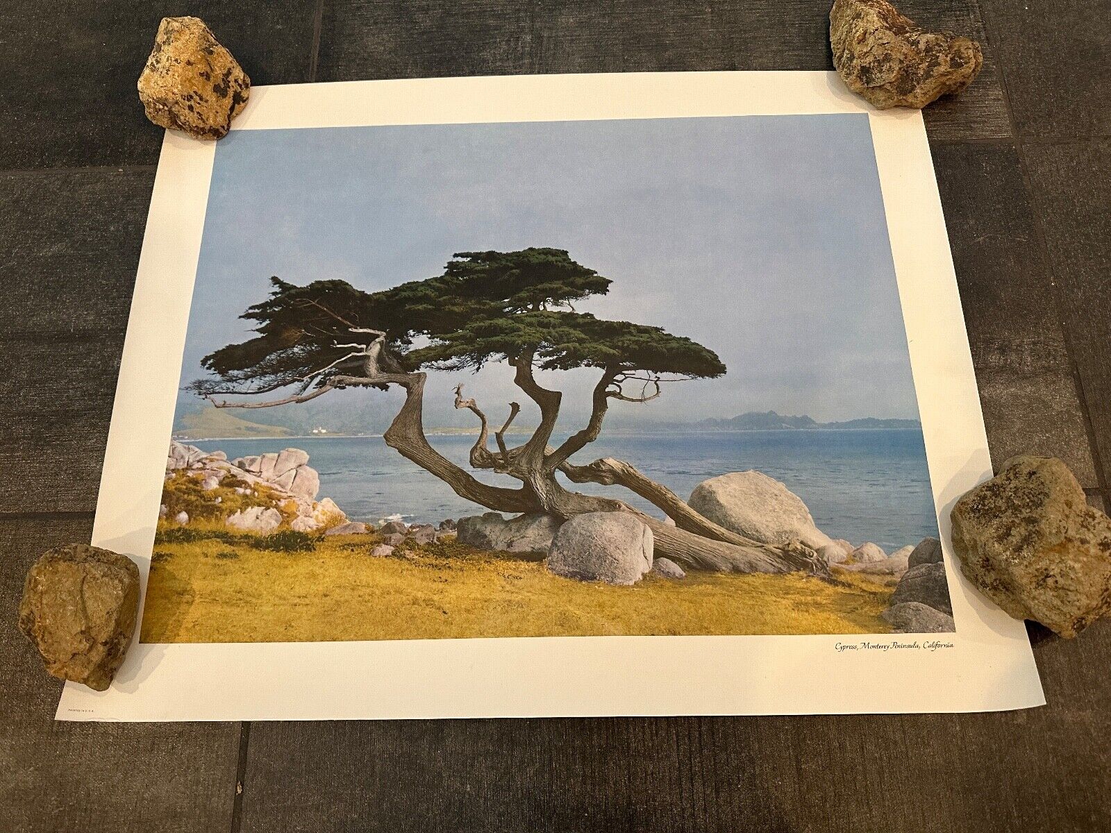 California CA Monterey Peninsula Rocky Shore Cypress Trees Lithograph Vintage