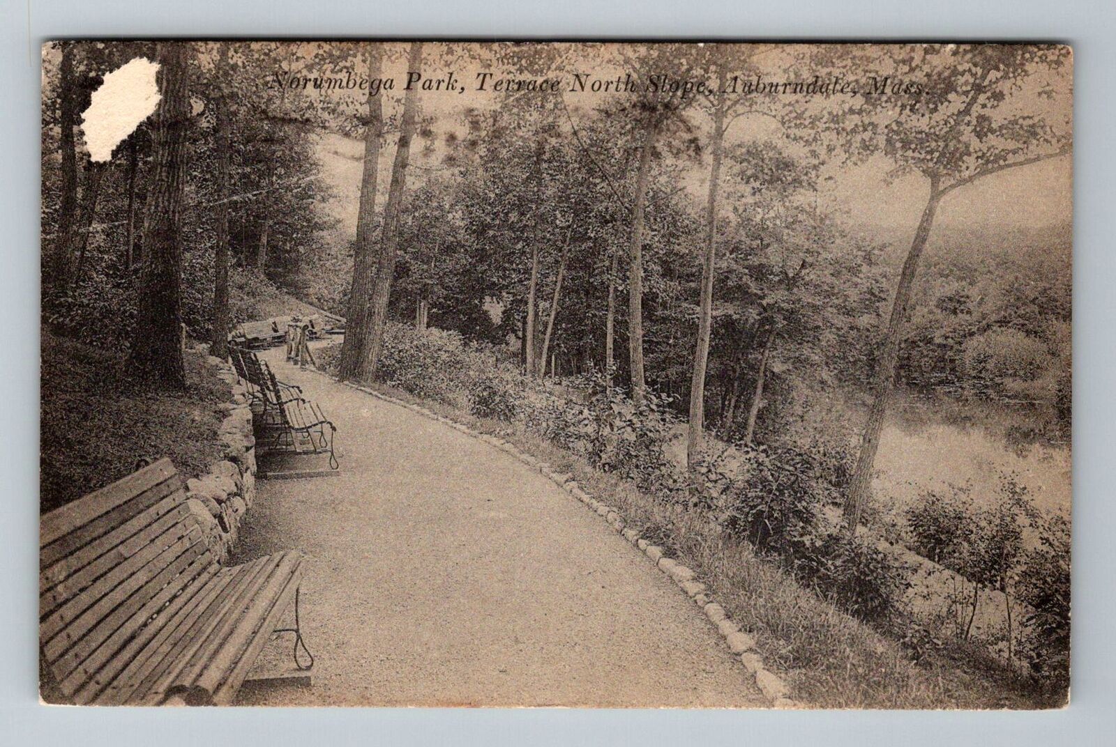 Auburndale MA-Massachusetts Norumbega Park North Slope Vintage c1921 Postcard