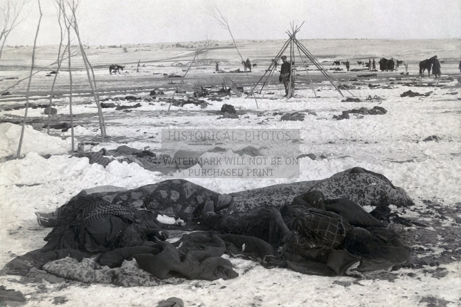 AFTERMATH OF THE WOUNDED KNEE MASSACRE NATIVE AMERICAN 4X6 PHOTO POSTCARD