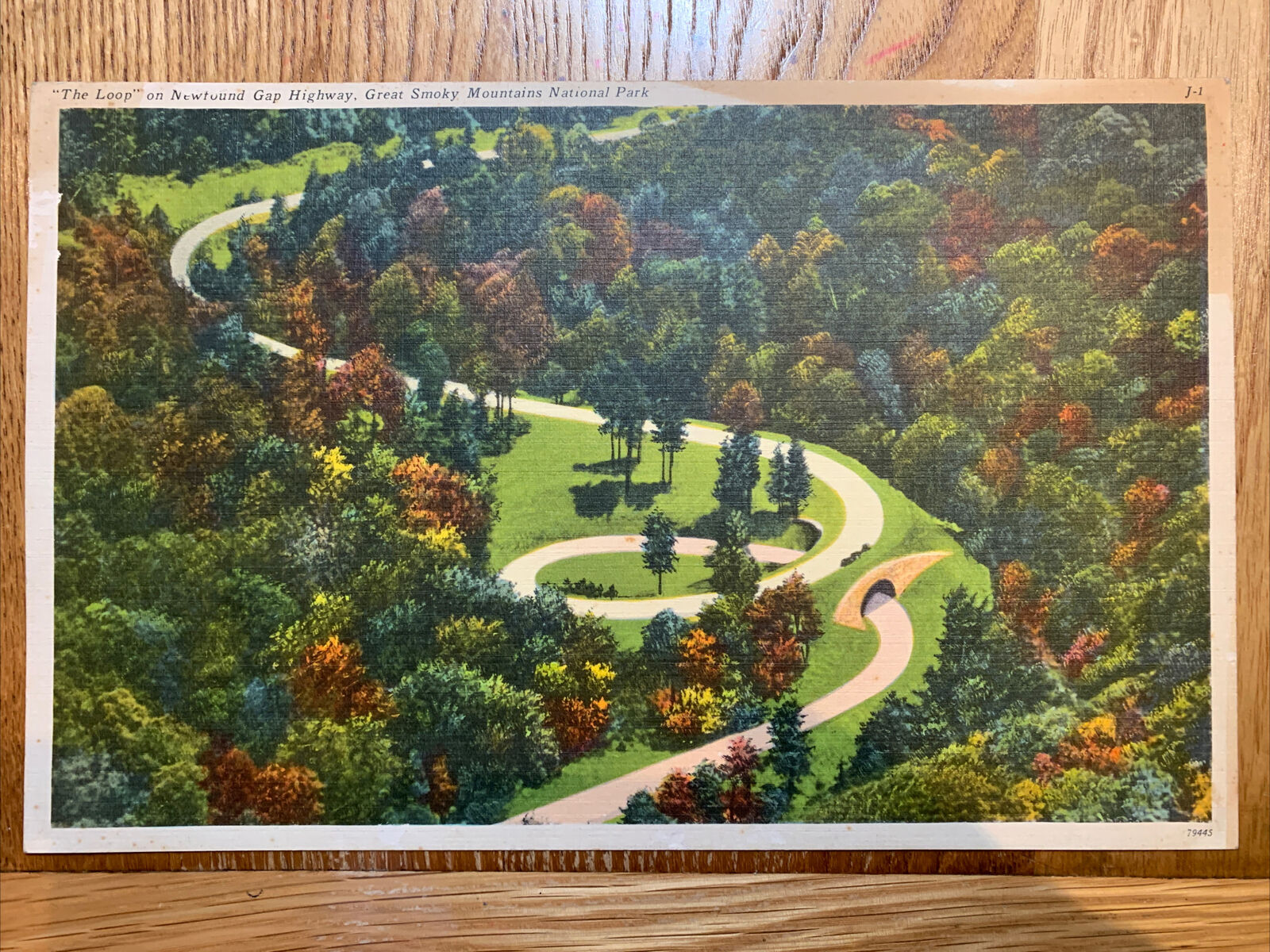 Vintage Great Smoky Mountains Giant Post Card 11x7