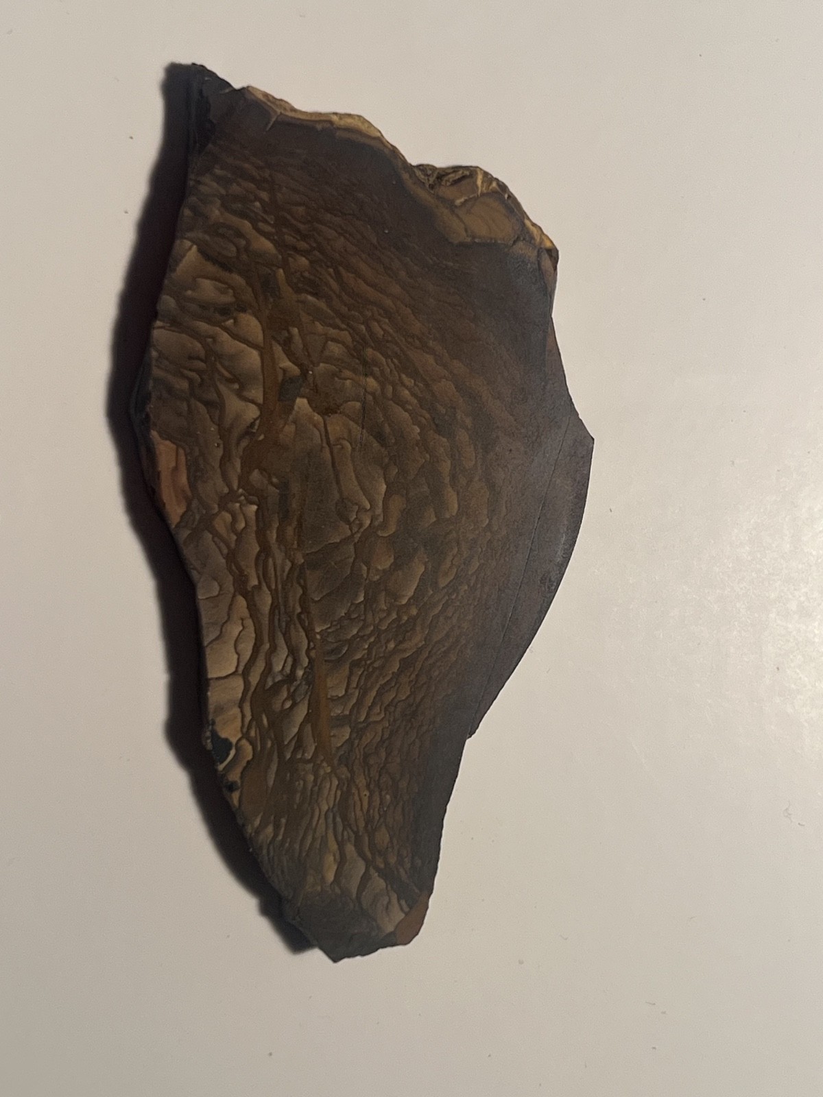 Biggs Deschutes Picture Jasper Slab Oregon Polished 28g Biggs Deschutes Picture Jasper Slab Oregon Polished 28g
