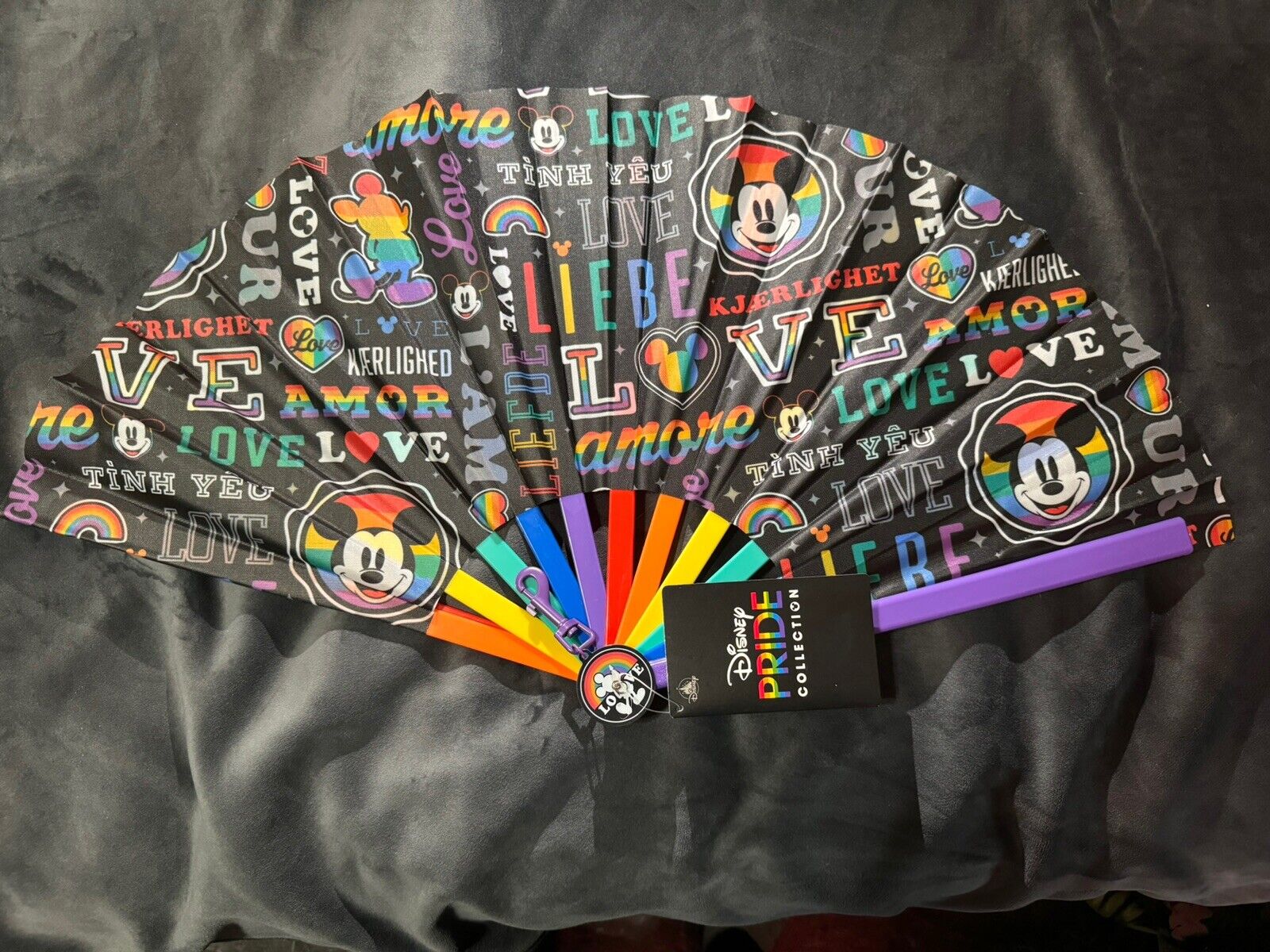 Disneyland Pride Fan 2024 Love Languages. Rainbow.