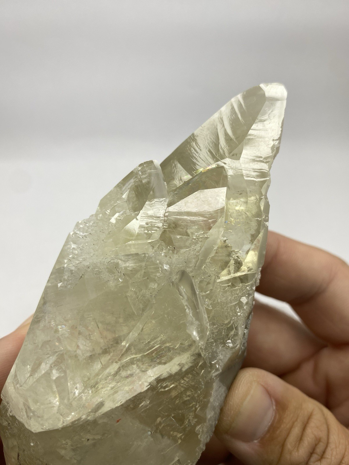 BIG DT Calcite with Honey Hues - BIG DT Calcite with Honey Hues -