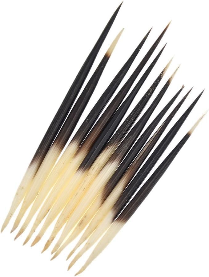 10Pcs Black Porcupine Quills Hair Stick Indian Crafts Accessories Fishing Buoy D 10Pcs Black Porcupine Quills Hair Stick Indian Crafts Accessories Fishing Buoy D
