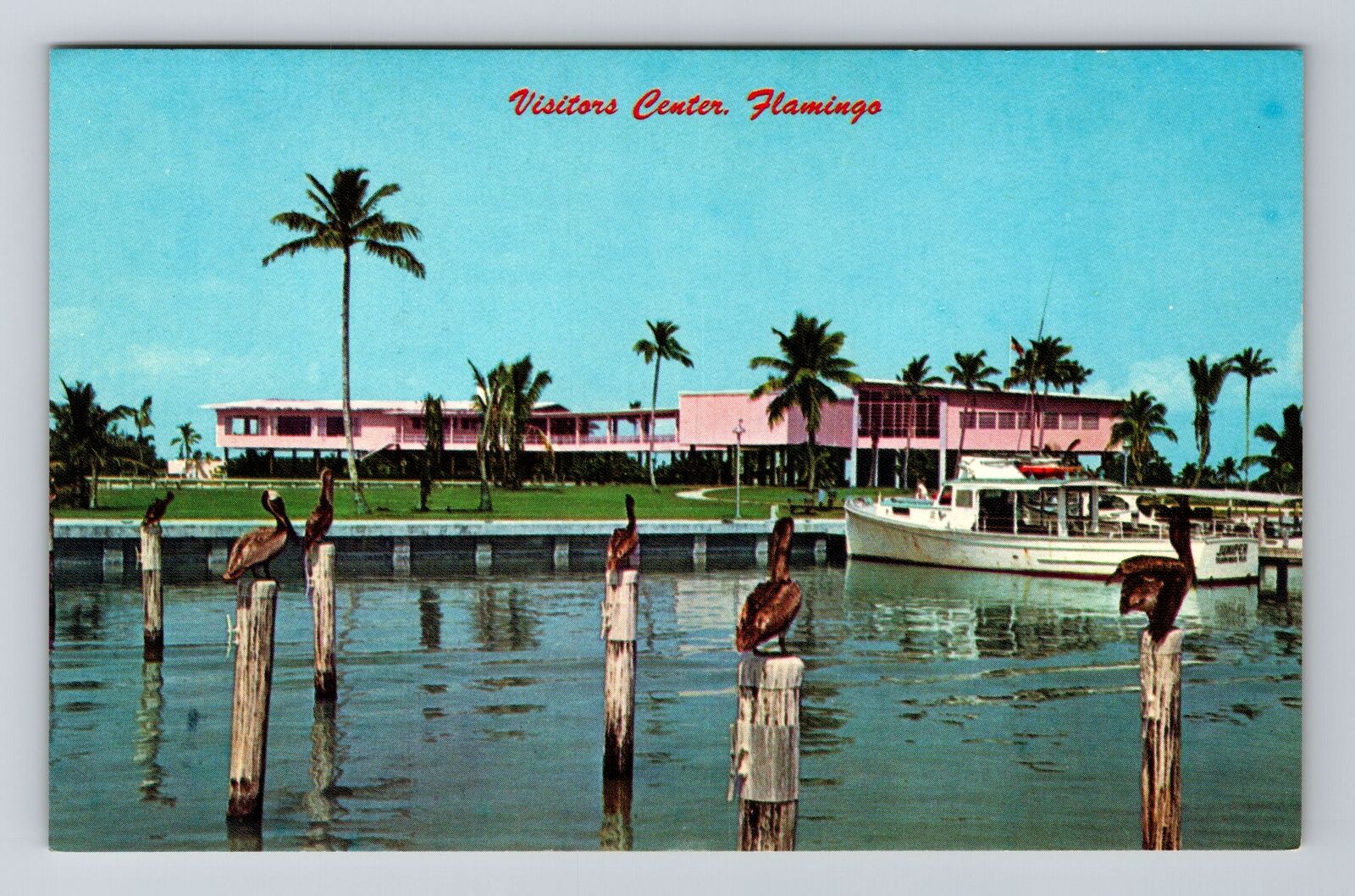 Flamingo FL-Florida, Visitors Center, Everglades Natl Park, Vintage Postcard