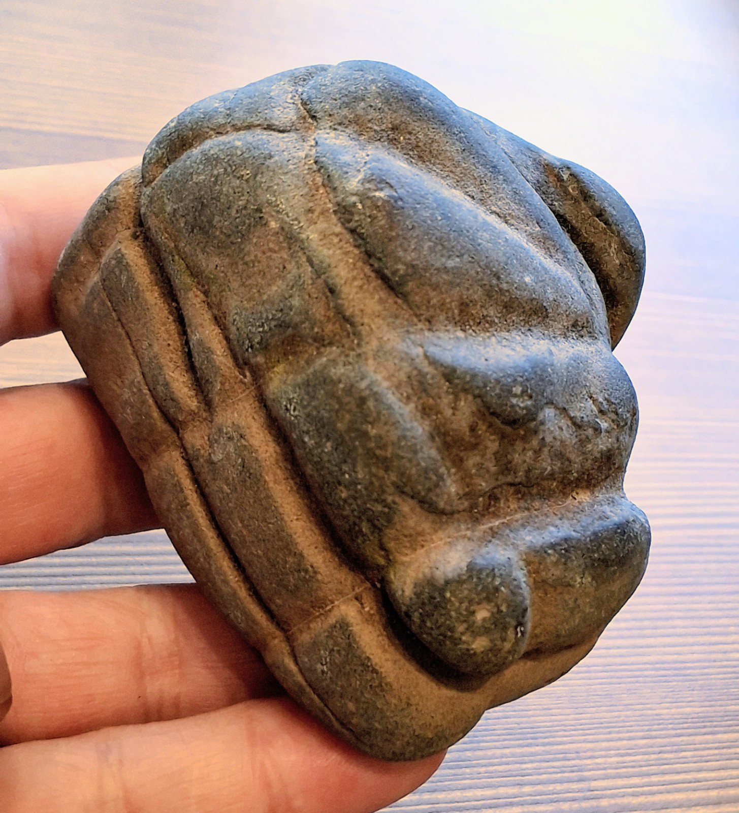 Sinew Stone Abrading Stone Museum Quality Indian Artifacts 