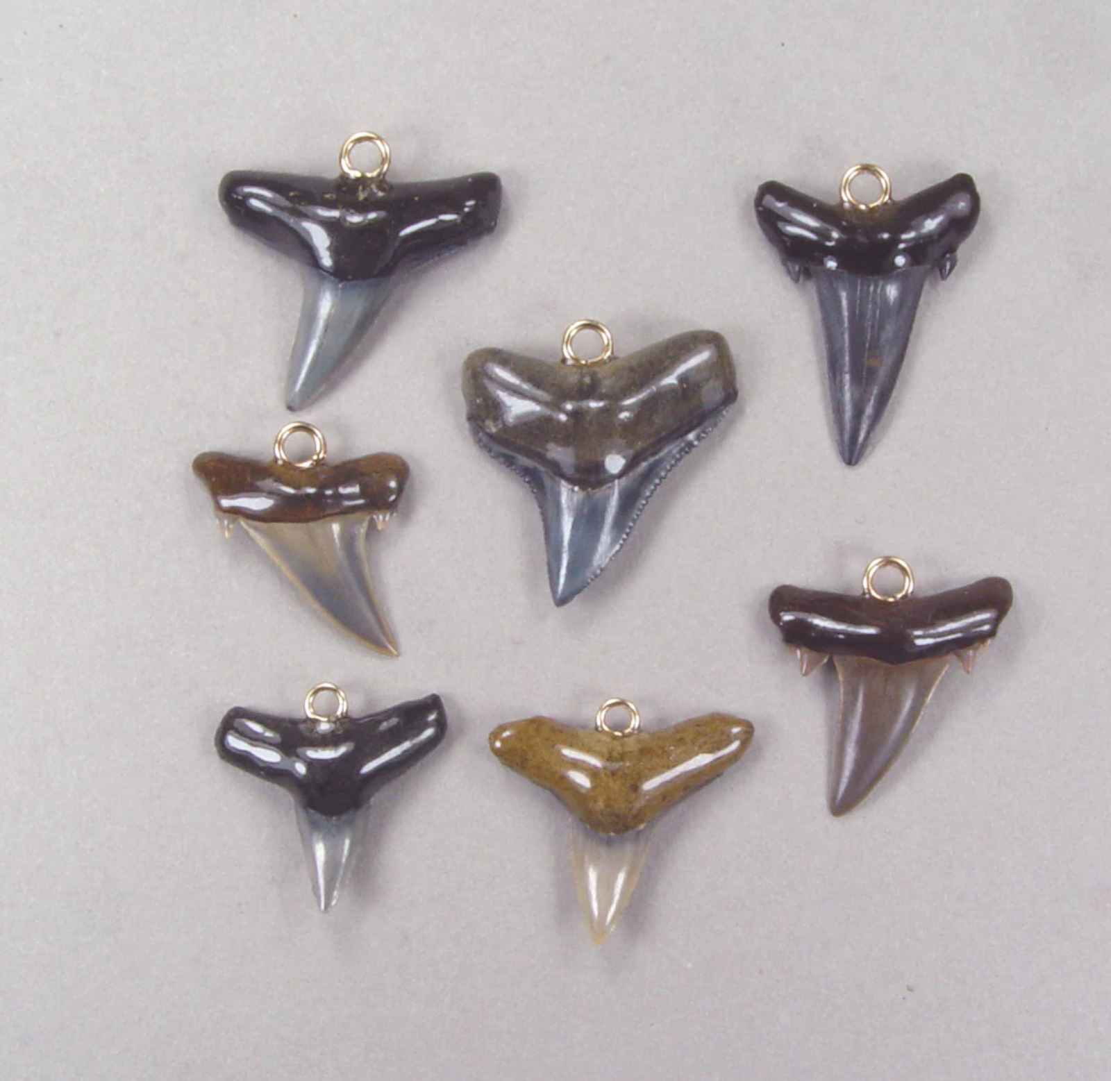 Bulk Lot of 10 Fossil Shark Tooth Pendants with Epoxy Resin Coated Roots