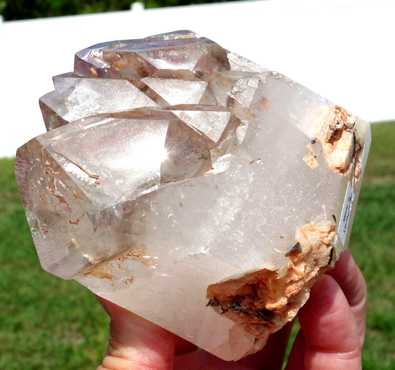 Rutiles & Water ENHYDRO Smoky Amethyst Skeletal Elestial Quartz Crystal Points