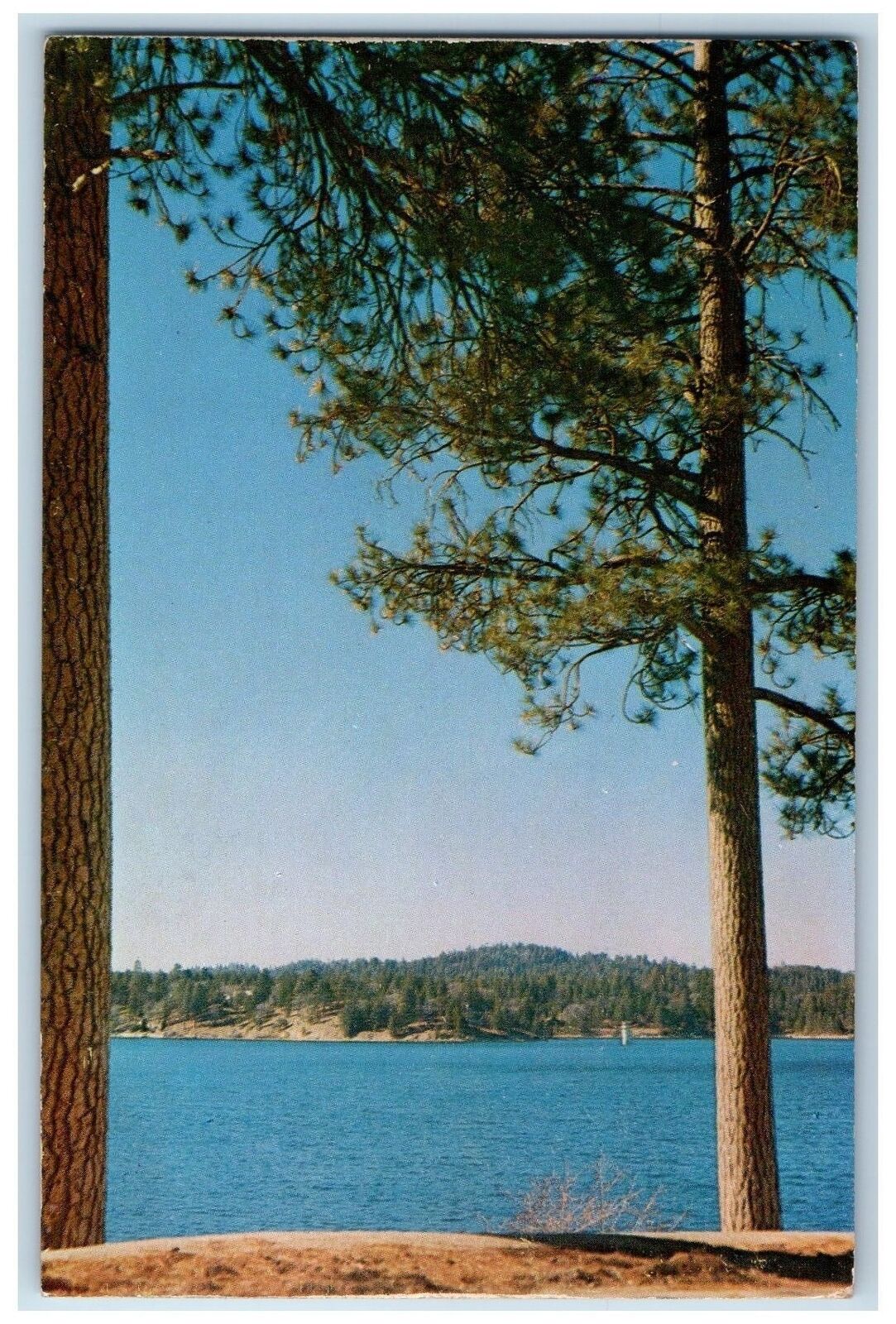 c1950\'s Lake Arrowhead San Bernardino National Park View California CA Postcard