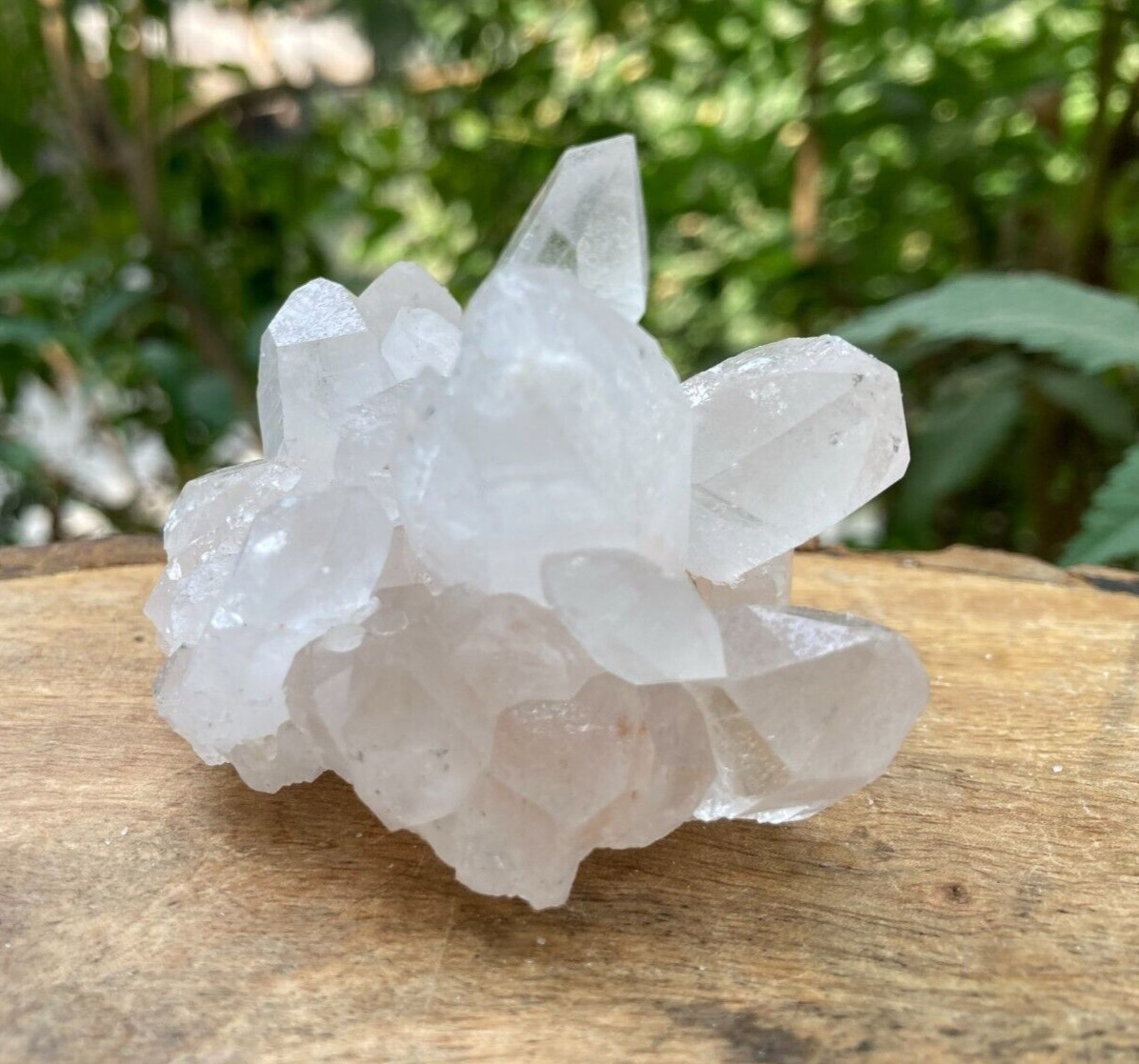 165g Natural Himalayan Quartz White Pointed Cluster Crystal Healing Raw Specimen